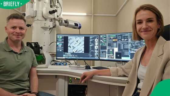 Mzansi researchers prove giant prehistoric insects could survive in our modern atmosphere