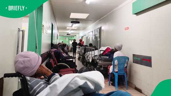 Gauteng health department under pressure as hospital visits exceed population in province
