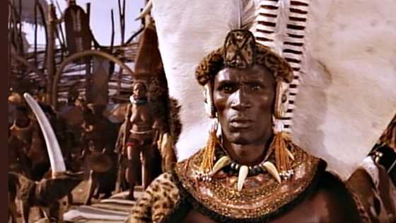 Ten amazing facts about Shaka Zulu