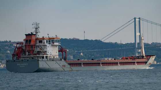 Ukraine 'optimistic' after arrival of first grain shipment