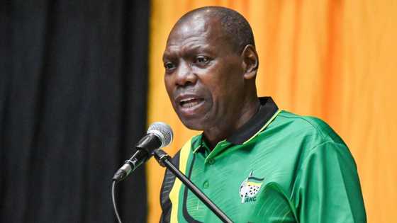 Zweli Mkhize speaks on step-aside rule says it undermines authority of ANC branches