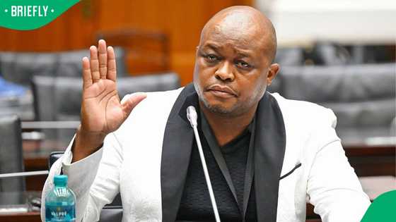 Brown Mogotsi admits to lying under oath to manipulate police colonel, South Africans respond