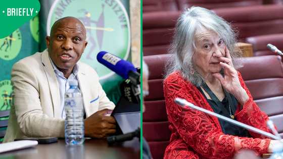 uMkhonto weSizwe Party plans to open criminal cases against Mary de Haas and Paul O’Sullivan