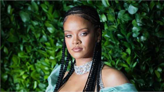 Rihanna marks Biden victory with saucy pic of herself taking out trash