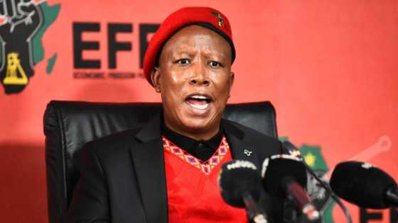 Malema claims Brian Shivambu is innocent despite R4.5 million VBS debt