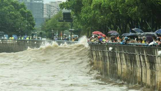 Typhoon Muifa lashes eastern China, forcing 1.6 million from their homes