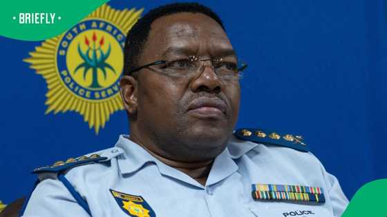 Madlanga Commission of Inquiry: Fannie Masemola says councillors faked their own hits
