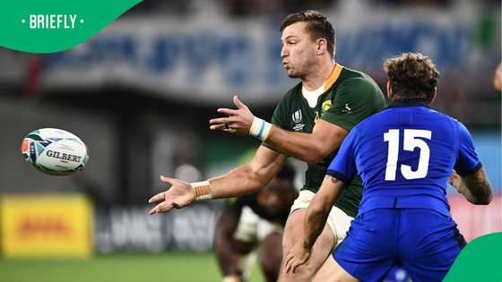 Handré Pollard overlooked again as Springboks back youth for Twickenham decider