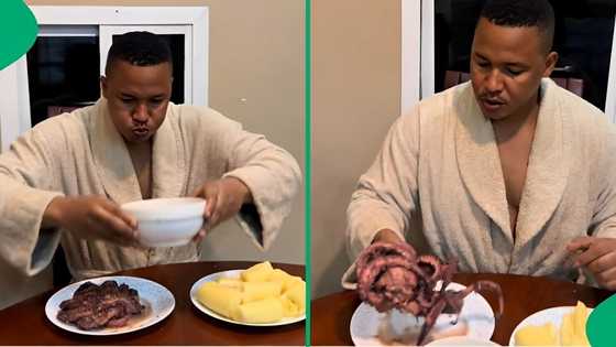 "Sir, it's moving": Man feasts on massive octopus meal, video creeps out the internet