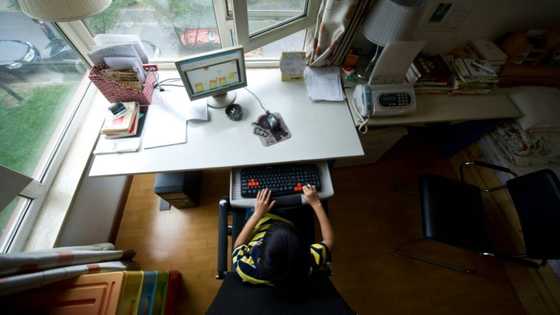China's students leap 'Great Firewall' to get homework help from ChatGPT