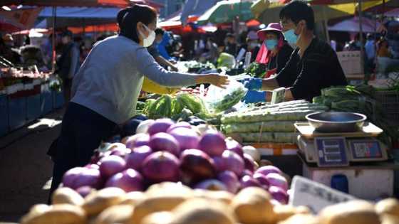 Most Asian markets track Wall St record, Shanghai extends rally