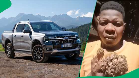 Zimbabwean man with hand covered in bees claims he got bewitched for stealing Ford Ranger, SA in disbelief