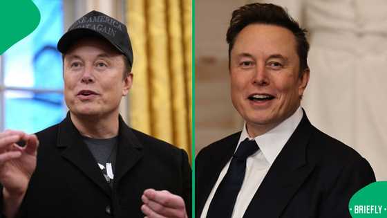 "Not Afrikaans": Billionaire Elon Musk clarifies identity & slams South Africa’s land reform law