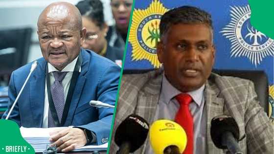 Madlanga commission:Major General Gopaul alleges political interference by Senzo Mchunu