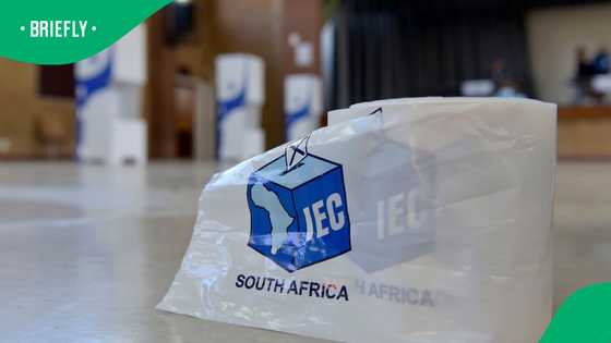 KwaZulu-Natal reports zero political no-go areas ahead of November 4 Local Government Elections