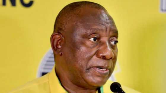 Wilful intent to steal from the public purse is unforgivable, says Cyril Ramaphosa