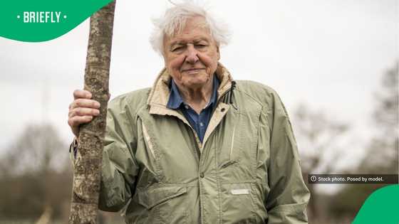 Legendary broadcaster David Attenborough celebrated worldwide on 100th birthday