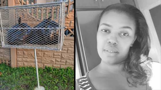 "Marry that man": Lady shows off gift from bae, a steel bin, and Saffas love it