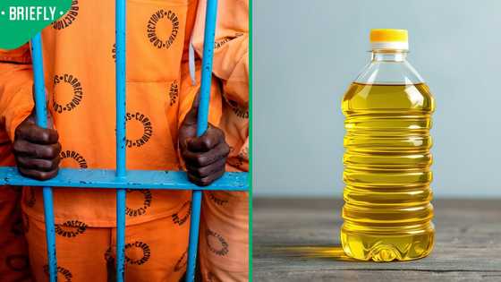 Correctional Services Billed Over R700 per Litre for Cooking Oil, South Africans Left in Disbelief