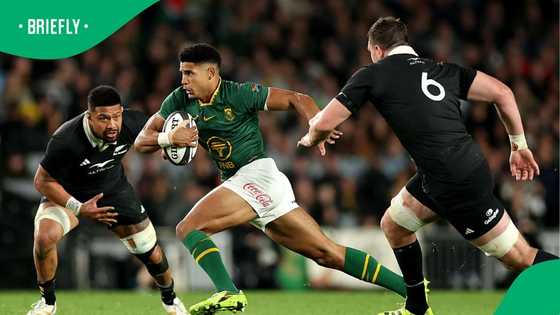Rassie Erasmus reveals when Sacha Feinberg-Mngomezulu could make Springboks comeback