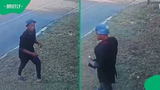 Security camera footage shows suspect scaling fence to steal street light