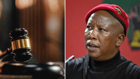 Julius Malema and bodyguard’s gun case postponed to establish video authenticity, leaving Mzansi annoyed