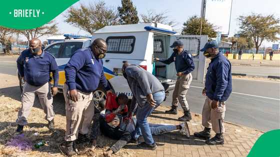 Traffic officials alarmed as over 240 arrested for drunk driving over festive season