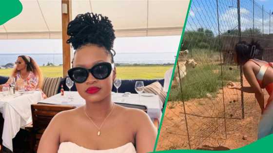 Woman teases charging lions in TikTok Video, South Africa stunned