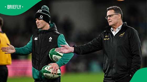 Erasmus speaks out on cards shown during Springboks vs Ireland match