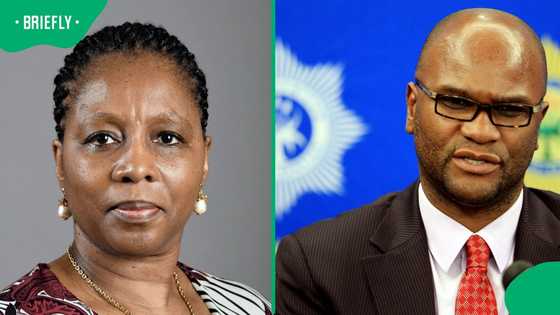 Former State Security minister Ayanda Dlodlo to replace Nathi Mthethwa as Ambassador to France