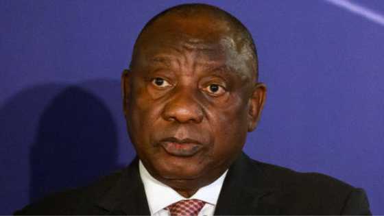 Phala Phala report: President Cyril Ramaphosa likely to resign during address to the nation, insider claims