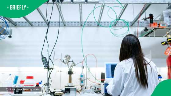 South Africa doctor makes strides as 1st to identify Hantavirus case and shares candid concerns about outbreak