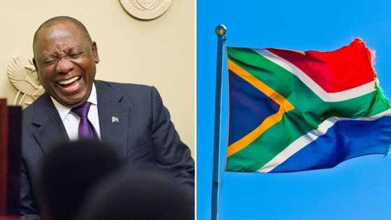 President Cyril Ramaphosa tells Minister Nathi Mthethwa to "cancel that thing" following R22m flag backlash