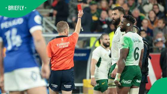 Injury setback for Springboks as key player is ruled out for season
