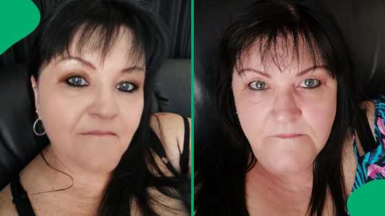 "Fake news": Cape Town anaconda claims in Zeekoevlei wetlands get debunked by city authorities