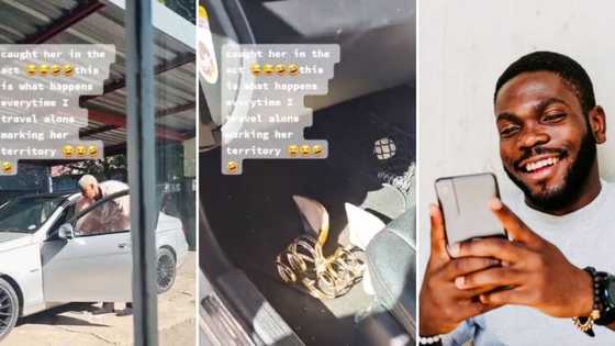 Video of woman marking her territory with personal items before bae leaves for a trip sparks online debate