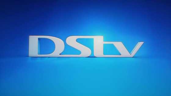 How to connect DSTV extra view cables in 2022: ultimate guide - Briefly ...