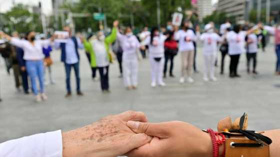 A Mexican bishop has proposed a "social pact" that would include drug traffickers to tackle violence that has prompted calls for a rethink of President Andres Manuel Lopez Obrador's security policy.