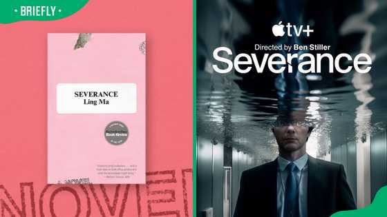 Is Severance based on a book? The truth behind the Apple TV+ series
