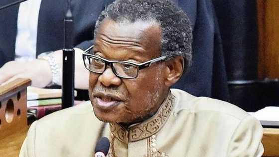 Mangosuthu Buthelezi's bio: Age, children, wife, parents, education, cause of death, latest