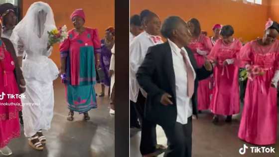 "Nka loma Gert Coetzee": Bridal gown at Pedi wedding has Mzansi amused, SA has questions after seeing video of bridesmaids' outfits