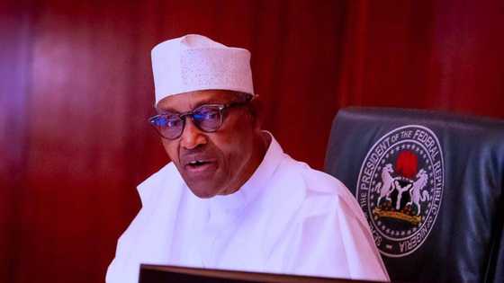 Twitter ban: Nigerian government finally allows citizens to use the social media platform