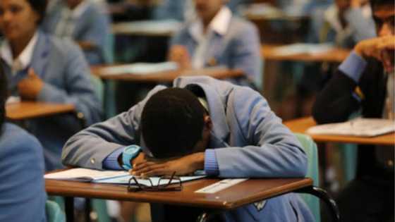 MEC Debbie Schafer laments Stage 4 load shedding ahead of matric finals: 'Disgrace'