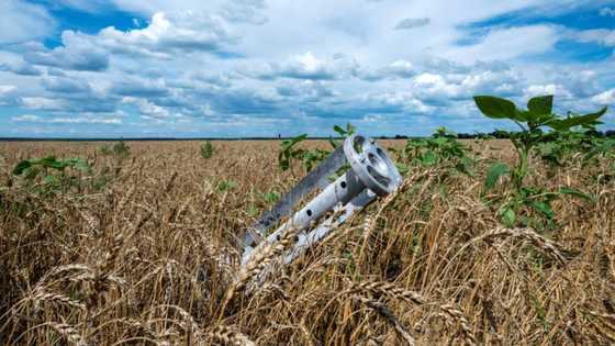 Ukraine estimates grain harvest fell around 40%