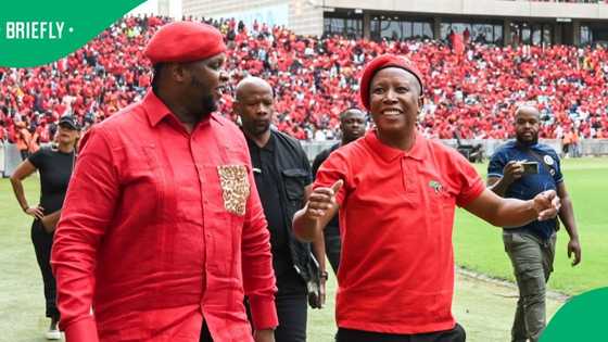 AfriForum to lay charges of corruption against Julius Malema and Floyd Shivambu