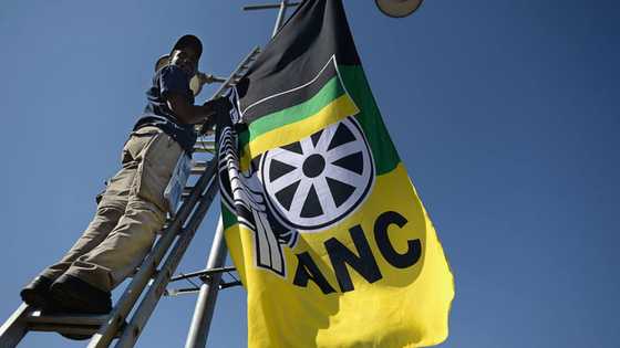 ANC110: South Africans reflect on the legacy of ANC on its 110th Anniversary