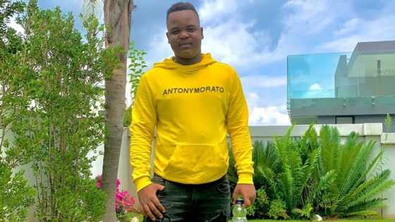 Ambitious Entertainment responds to Intaba Yase Dubai's claims of not getting paid