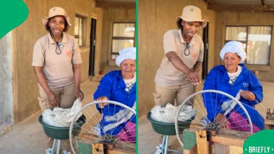 Free State granny wins hearts with rare wool-spinning skill using bicycle wheel machine