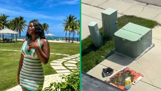 African man goes viral on TikTok for drying wild vegetables on the pavement in Canada: "My dad would do this"