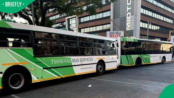 Tshwane Bus Services' depots run out of fuel, commuters urged to plan as daily shifts disrupted